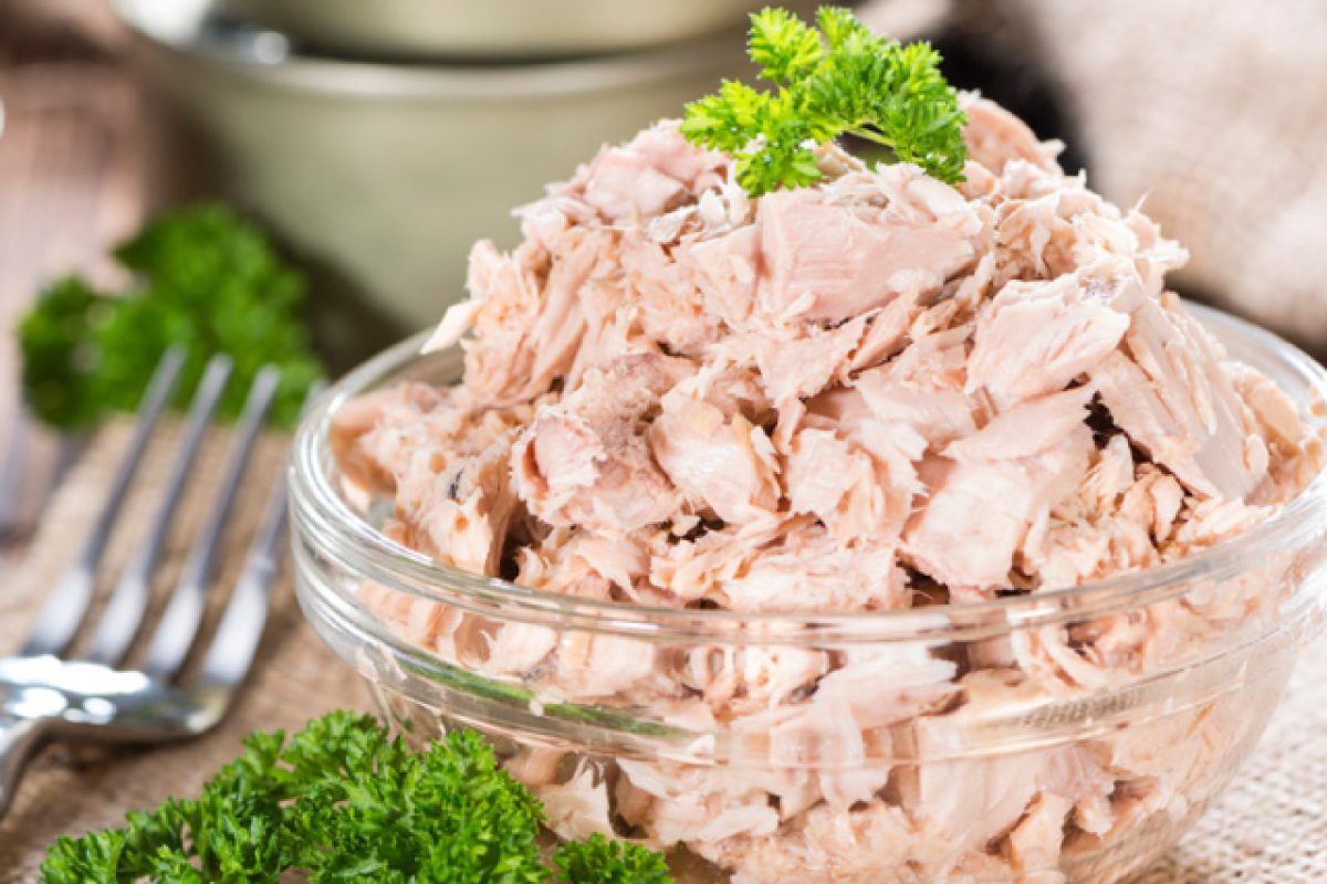 atun-en-conserva2